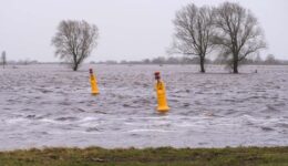 Overstromingsgebied in Nederland met waterniveau hoger dan normaal, waarschuwingsborden en blankstaande bomen. Noodweer en wateroverlast door extreme regenval en hoge waterstanden in de regio.