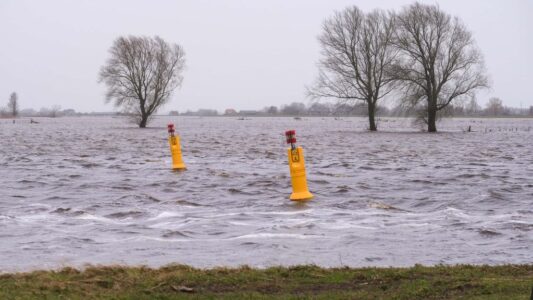 Overstromingsgebied in Nederland met waterniveau hoger dan normaal, waarschuwingsborden en blankstaande bomen. Noodweer en wateroverlast door extreme regenval en hoge waterstanden in de regio.