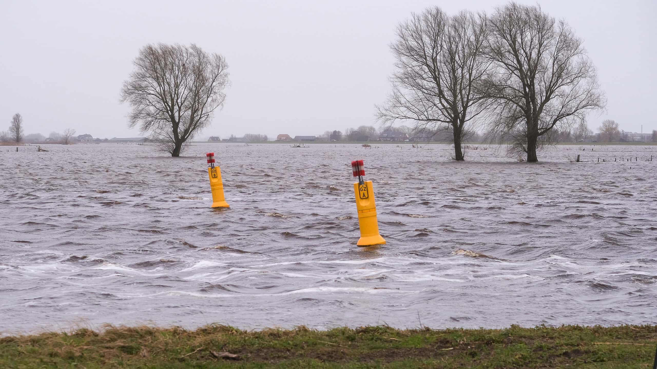 Overstromingsgebied in Nederland met waterniveau hoger dan normaal, waarschuwingsborden en blankstaande bomen. Noodweer en wateroverlast door extreme regenval en hoge waterstanden in de regio.