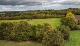 landschapselementen - foto Staatsbosbeheer