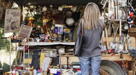 Kleine, lokale rommelmarkt met diverse gebruikte items, speelgoed, gereedschap en retro-objecten, ideaal voor verzamelaars en scharrelaars. Een vrouw bekijkt enthousiast de verschillende koopwaar.