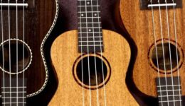 ukulele (Foto Pixabay)