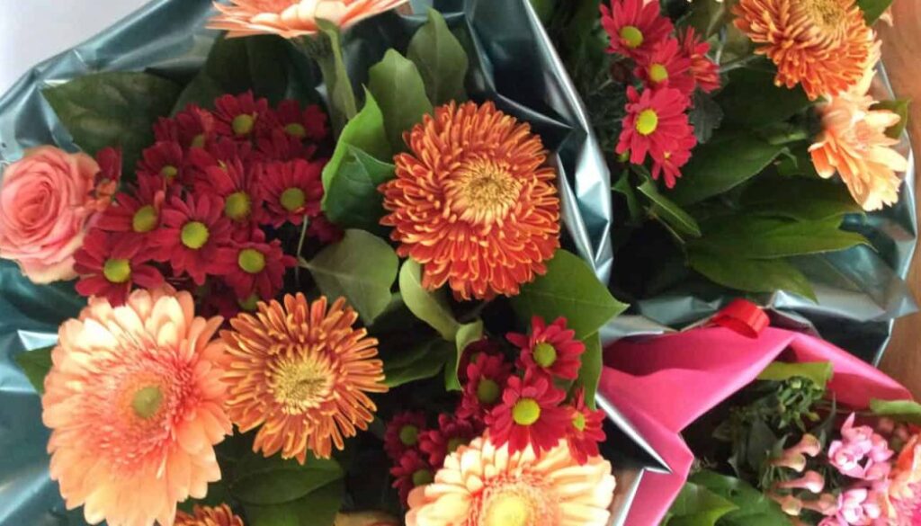 Vrolijke kleurrijke bloemen in bloemstukken, inclusief asters, gerbera's en rozen, voor diverse gelegenheden, gedeeld door RTV SLOS.