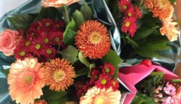 Vrolijke kleurrijke bloemen in bloemstukken, inclusief asters, gerbera's en rozen, voor diverse gelegenheden, gedeeld door RTV SLOS.