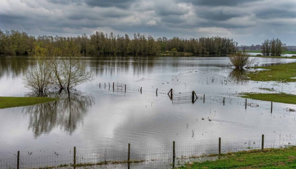 Hoogwater - foto freepik