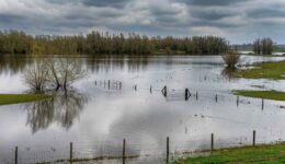 Hoogwater - foto freepik