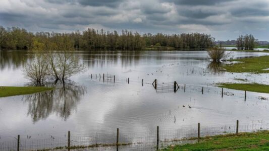Hoogwater - foto freepik