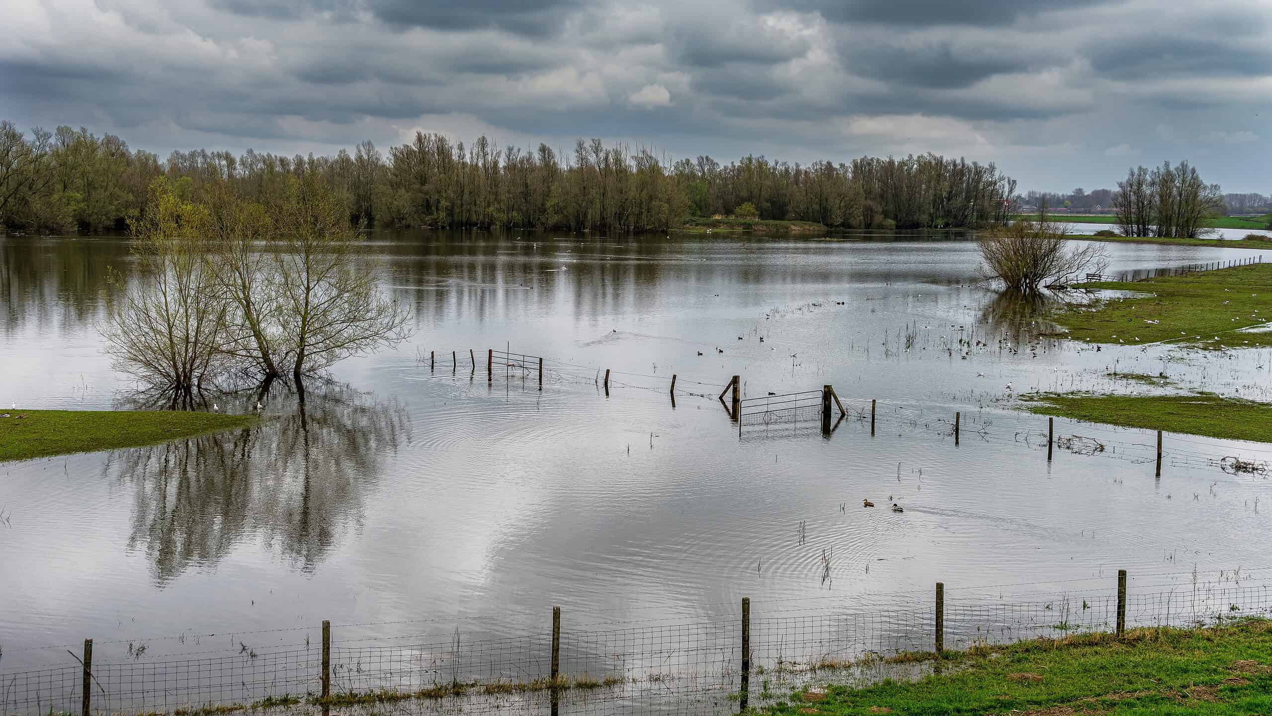 Hoogwater - foto freepik