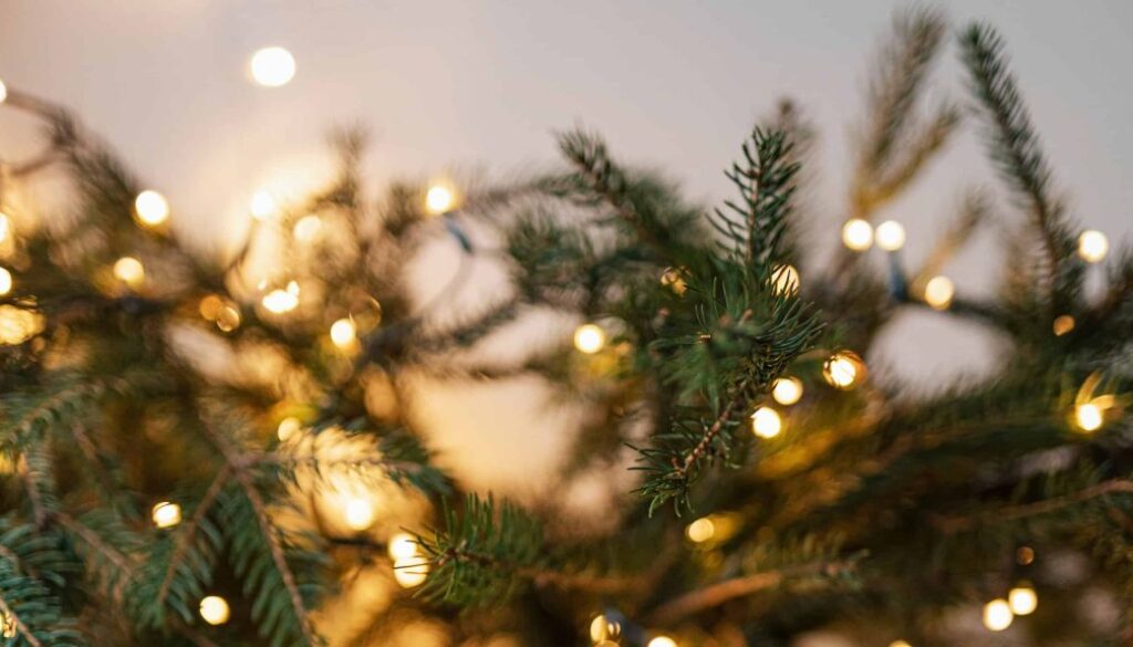 Kerstverlichting op dennenboom met warme lichtjes, sfeervolle decoratie voor kerstmis, gezellig binnenhuis, feestelijke kerstversiering, winterse sfeer, rood-groen thema, klassieke kerstdecoratie, romantische kerstverlichting.