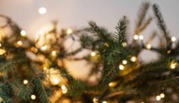 Kerstverlichting op dennenboom met warme lichtjes, sfeervolle decoratie voor kerstmis, gezellig binnenhuis, feestelijke kerstversiering, winterse sfeer, rood-groen thema, klassieke kerstdecoratie, romantische kerstverlichting.