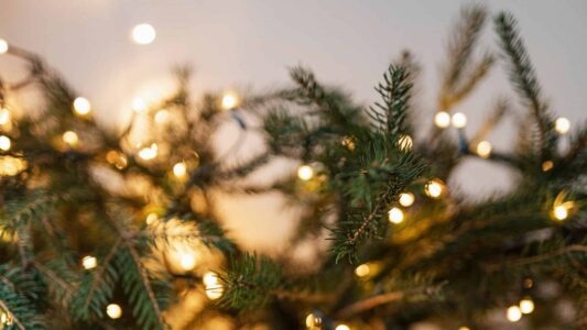 Kerstverlichting op dennenboom met warme lichtjes, sfeervolle decoratie voor kerstmis, gezellig binnenhuis, feestelijke kerstversiering, winterse sfeer, rood-groen thema, klassieke kerstdecoratie, romantische kerstverlichting.