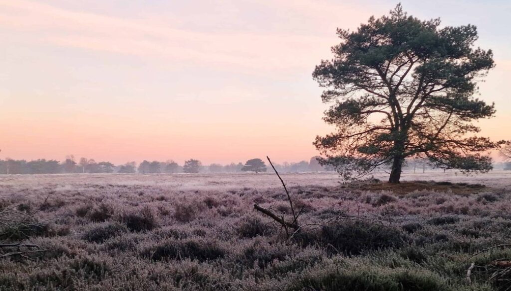 Drentsche Aa herfst groote zand - foto NP Drentsche Aa