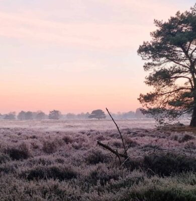 Drentsche Aa herfst groote zand - foto NP Drentsche Aa