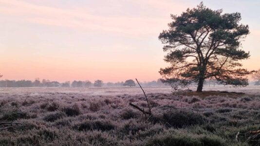 Drentsche Aa herfst groote zand - foto NP Drentsche Aa