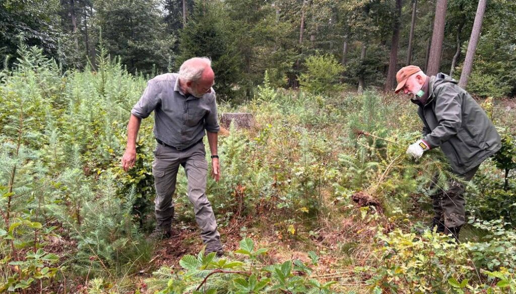 Natuurwerkdag Eeserveld - foto Staatsbosbeheer