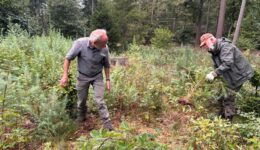 Natuurwerkdag Eeserveld - foto Staatsbosbeheer