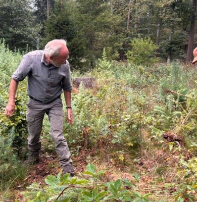 Natuurwerkdag Eeserveld - foto Staatsbosbeheer