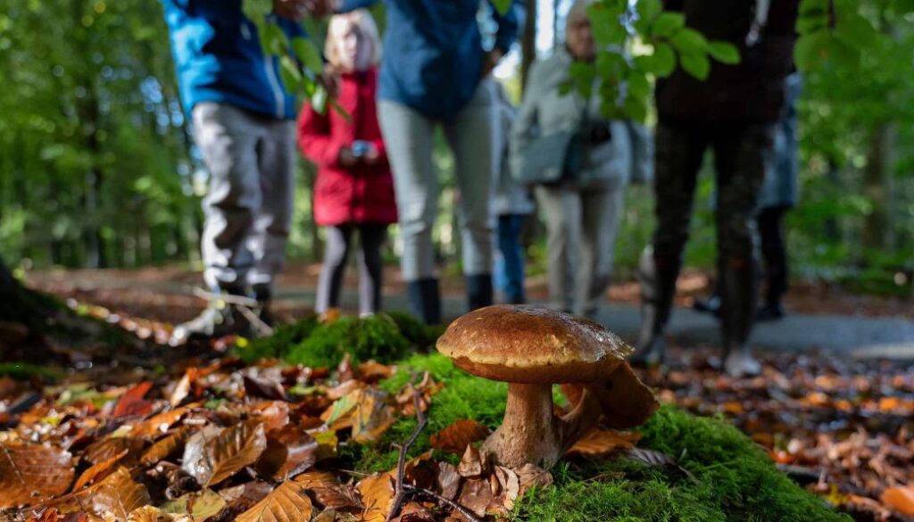 Paddenstoelenexcursie f- oto Ineke van Os