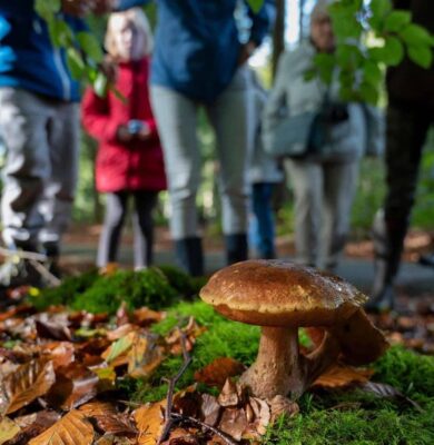 Paddenstoelenexcursie f- oto Ineke van Os