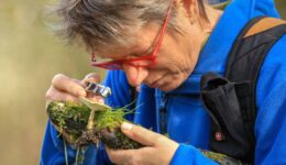 Weergave van een mannelijke boswachter of natuuronderzoeker die met een vergrootglas een paddenstoel bestudeert, omringd door groene moss en natuur, met focus op biodiversiteit en natuurbehoud.