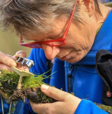 Weergave van een mannelijke boswachter of natuuronderzoeker die met een vergrootglas een paddenstoel bestudeert, omringd door groene moss en natuur, met focus op biodiversiteit en natuurbehoud.