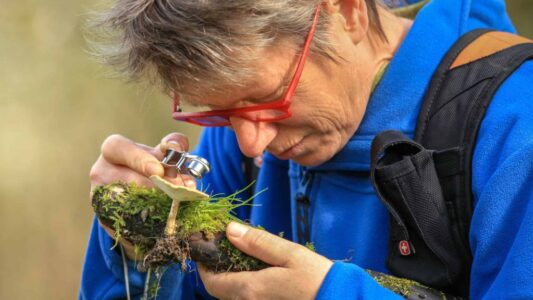 Weergave van een mannelijke boswachter of natuuronderzoeker die met een vergrootglas een paddenstoel bestudeert, omringd door groene moss en natuur, met focus op biodiversiteit en natuurbehoud.