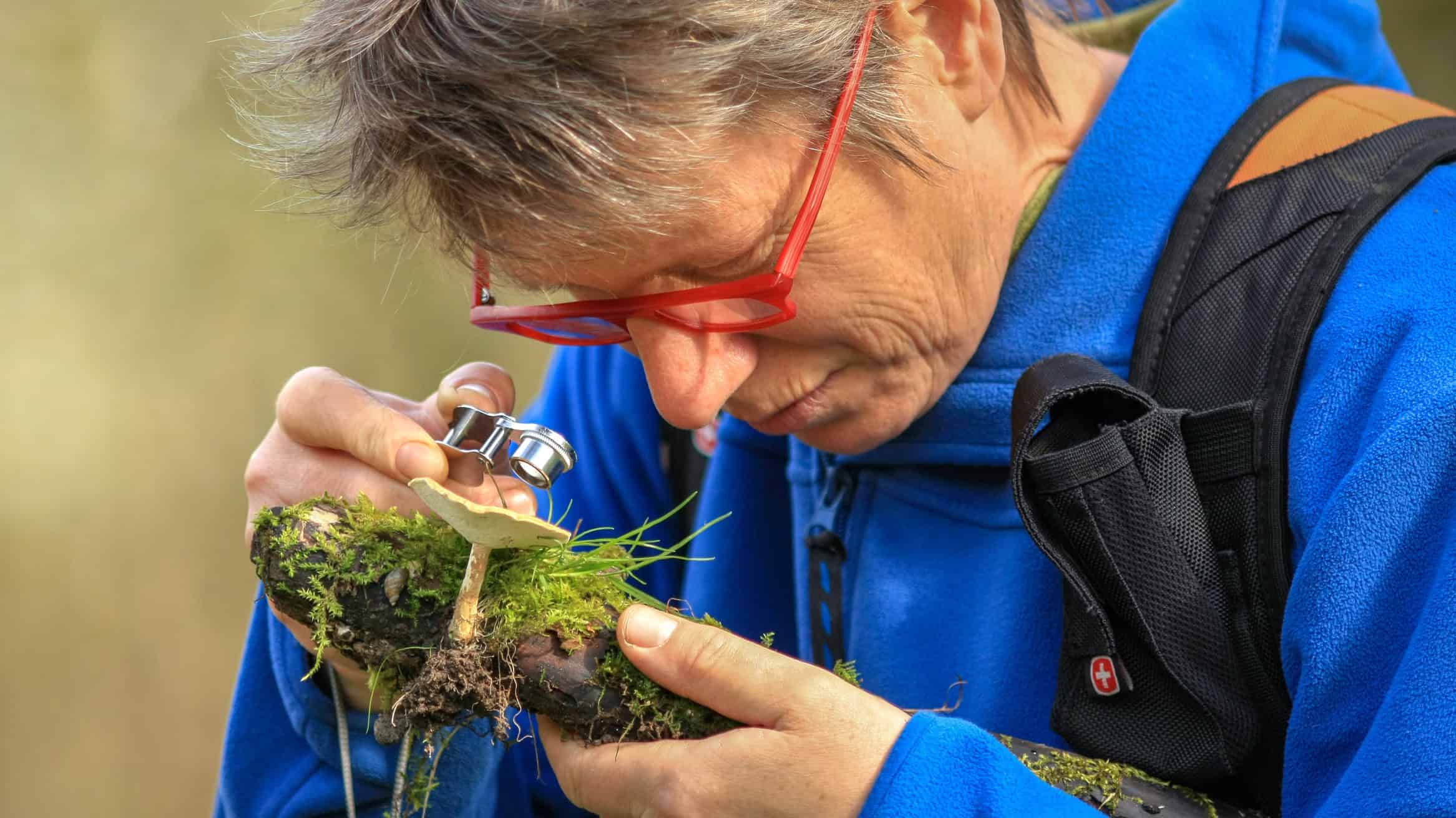 Weergave van een mannelijke boswachter of natuuronderzoeker die met een vergrootglas een paddenstoel bestudeert, omringd door groene moss en natuur, met focus op biodiversiteit en natuurbehoud.