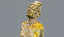 Verstenen beeld met mos en korstmossen, sfinx-achtig sculptuur, kunst en street art, verweerde details, creatief publiek, decoratieve gevel, uniek kunstwerk, ambacht en design, cultureel erfgoed, moderne beeldhouwkunst.