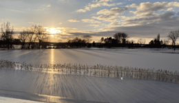 Besneeuwd landschap werkgebied WDODelta - foto aangeleverd