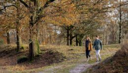 Herfstwandeling - foto Auke Spijker