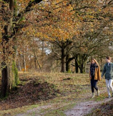 Herfstwandeling - foto Auke Spijker
