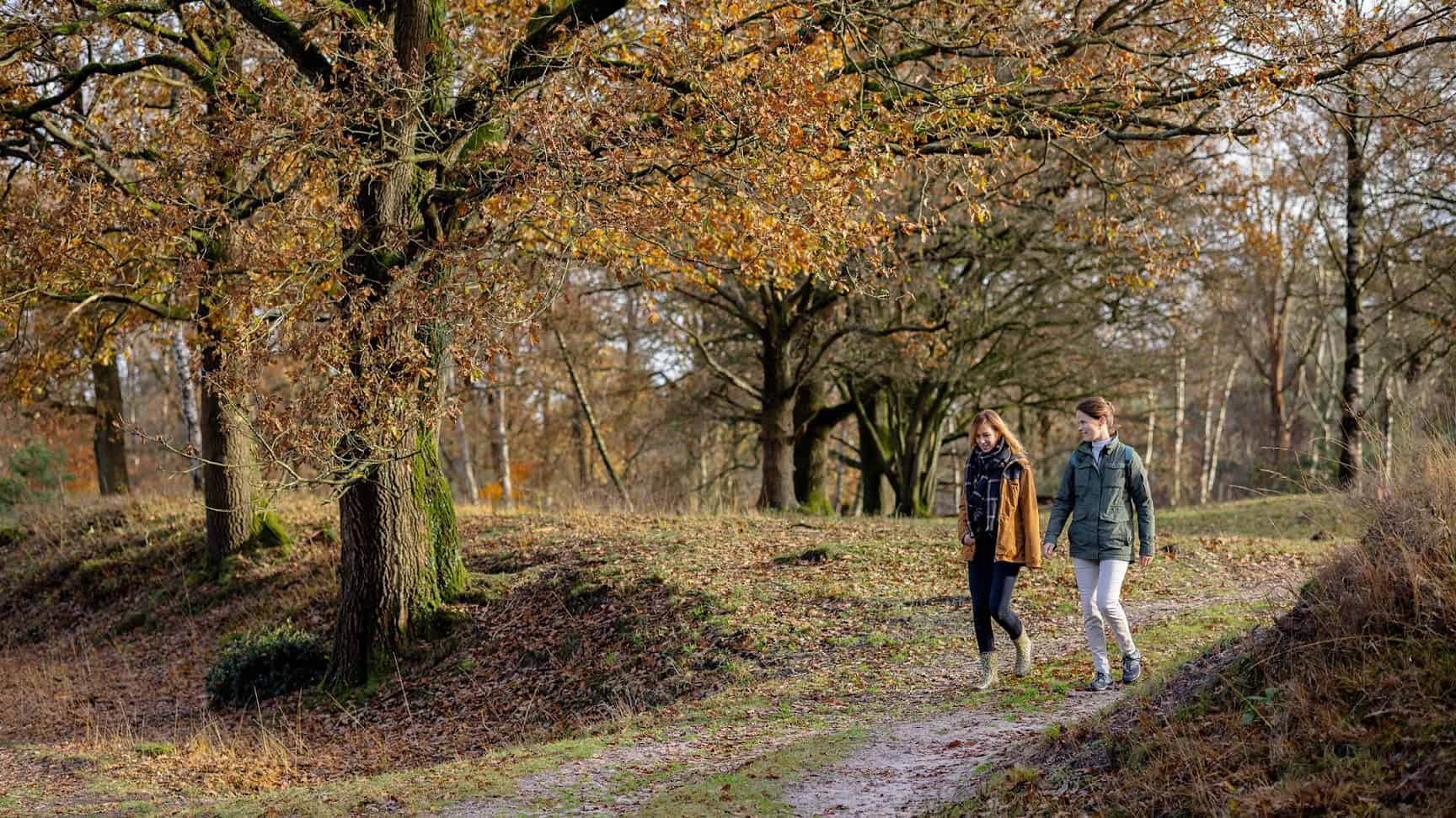 Herfstwandeling - foto Auke Spijker