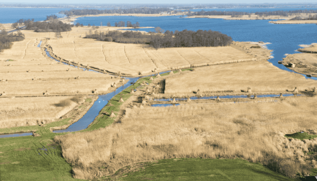 Luchtfoto van De Wieden het gebied waar drinkwater wordt gewonnen - foto aangeleverd