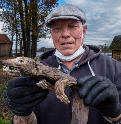 Hans Drost met steenmartermummie uit Kampen - foto aangeleverd