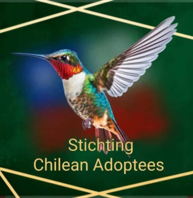 Stichting Chilean Adoptees - foto aangeleverd