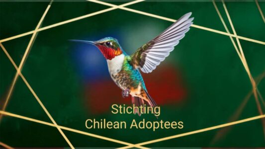 Stichting Chilean Adoptees - foto aangeleverd