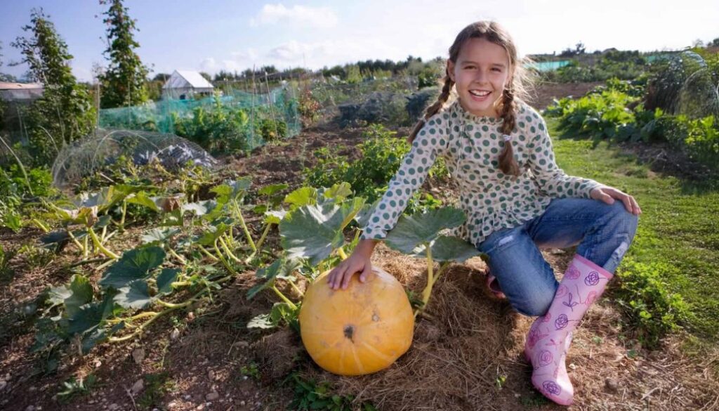 moestuin pompoen kind - foto aangeleverd