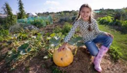 moestuin pompoen kind - foto aangeleverd