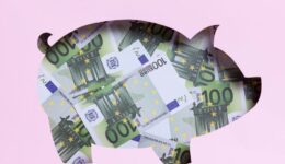 varken met geld - foto freepik