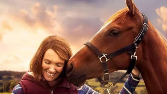Dream horse - foto aangeleverd