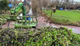 Exoten uit de sloten - amfibie - foto aangeleverd