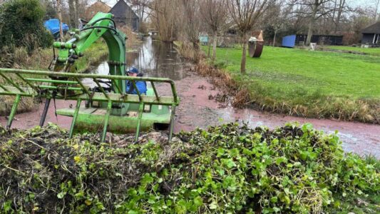 Exoten uit de sloten - amfibie - foto aangeleverd
