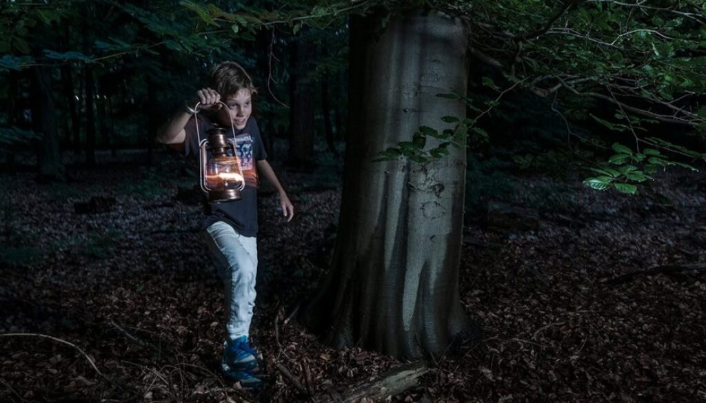 Lampion - foto Janko van Beek