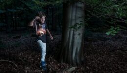 Lampion - foto Janko van Beek