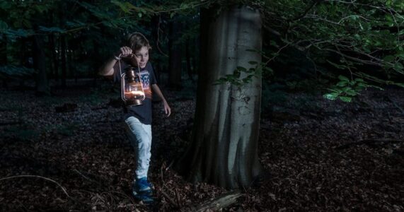 Lampion - foto Janko van Beek