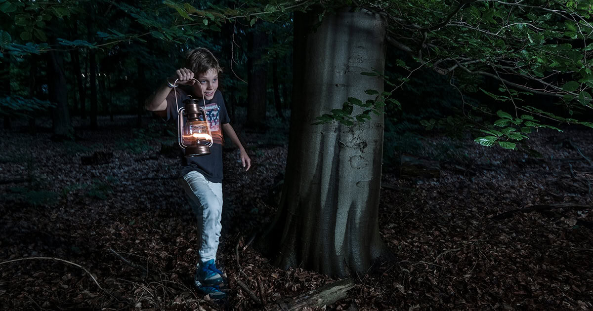 Lampion - foto Janko van Beek