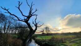 Nationaal Park Drentsche Aa Gasteren - foto aangeleverd