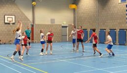 Noveas1 - foto aangeleverd