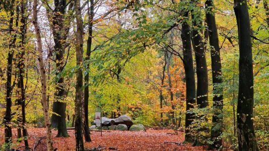 Evertsbos hunebed - foto aangeleverd