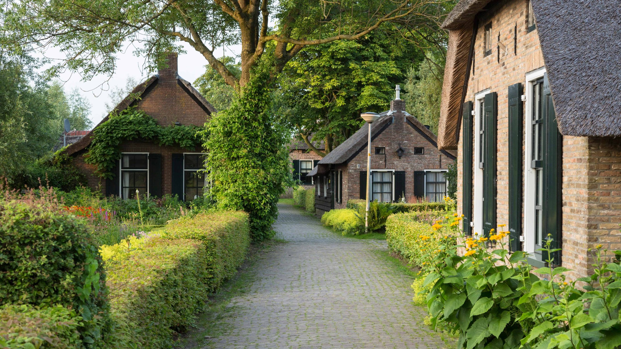 Bezoekerscentrum de Wieden - foto aangeleverd